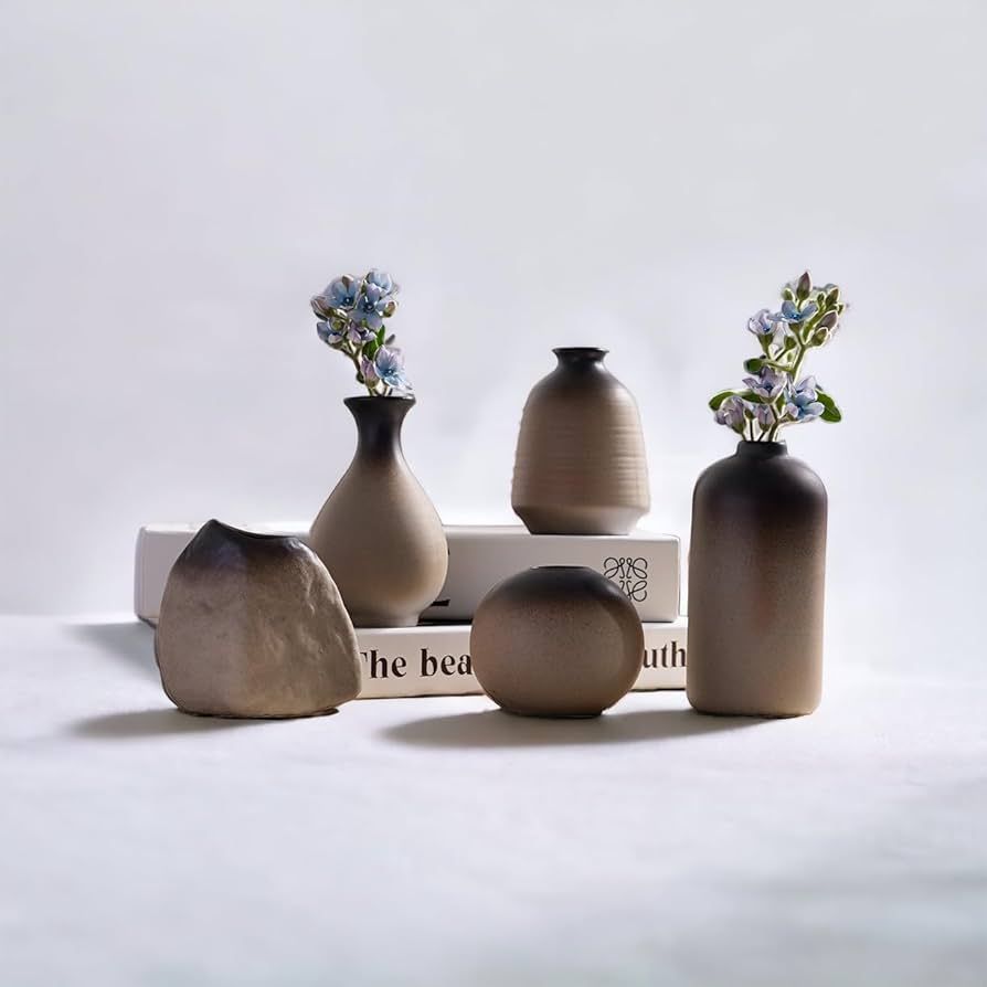 Rustic Small Bud Vase Set of 5 for Home Decor | Boho Styling Ceramic Pottery for Home or Office. | Amazon (US)