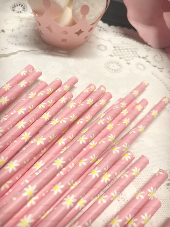 Pink Daisy Straws Spring Party Vintage Style Paper Daisy | Etsy | Etsy (US)