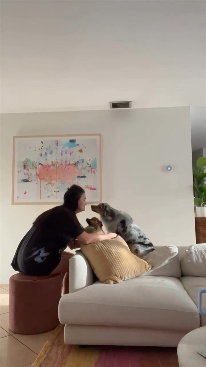 Morning in my life with the boys, long walks, and pickleball 💛 #morning #dogmom #morninginmylife