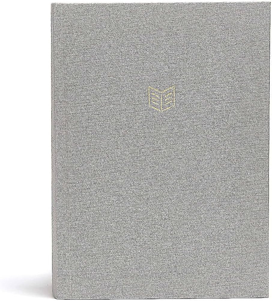 CSB She Reads Truth Bible, Gray Linen Cloth Over Board, Black Letter, Full-Color Design, Wide Mar... | Amazon (US)