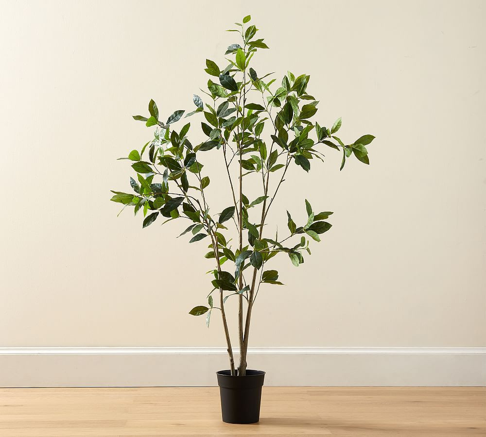 Faux Bay Leaf Tree | Pottery Barn (US)