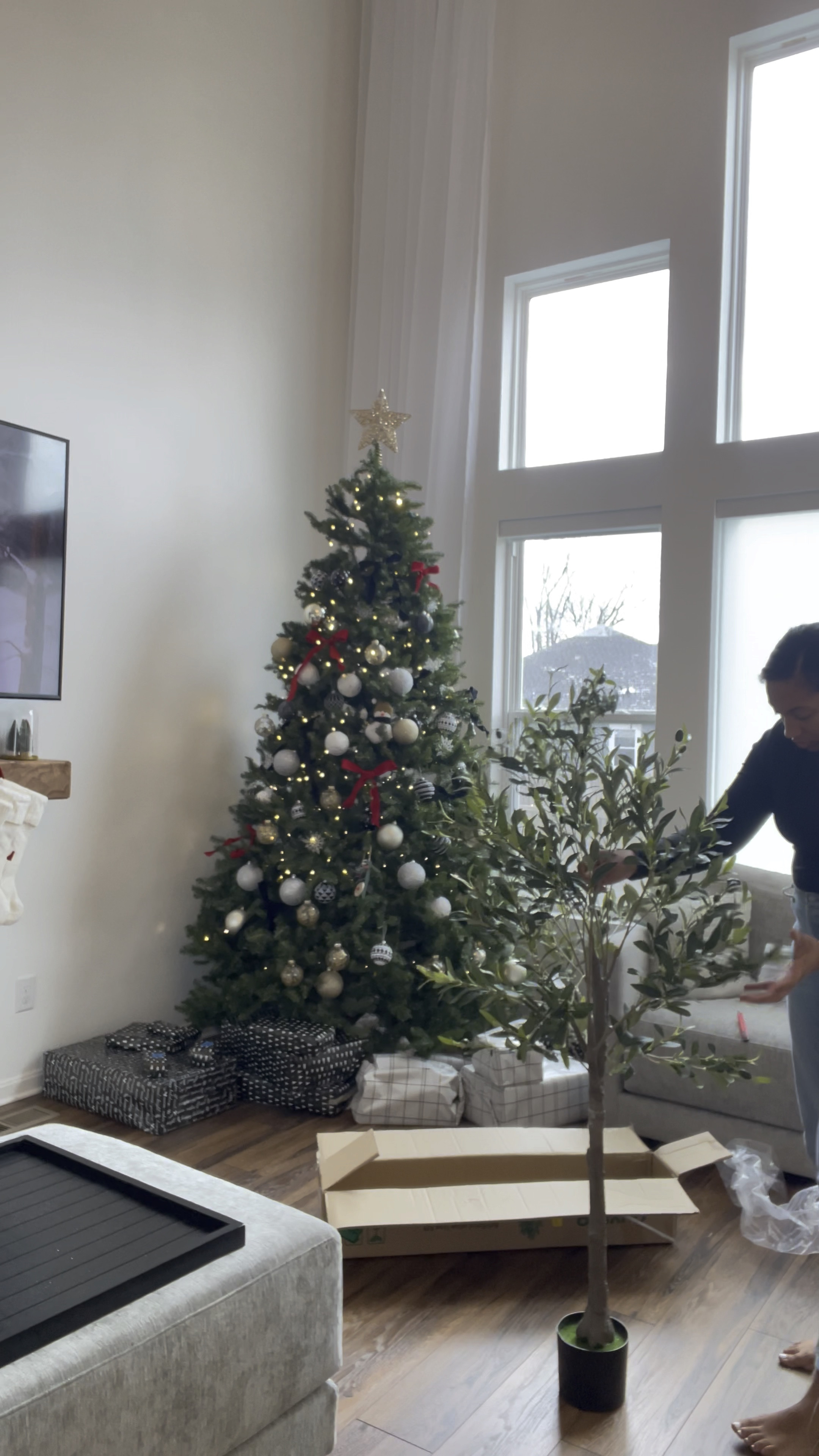 $60 olive tree! So good ! 

#LTKfindsunder100 #LTKstyletip #LTKhome