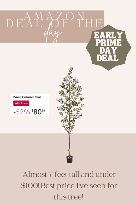 Amazon prime day deal! This olive tree is more than half off! 

#LTKsalealert #LTKhome #LTKxPrimeDay