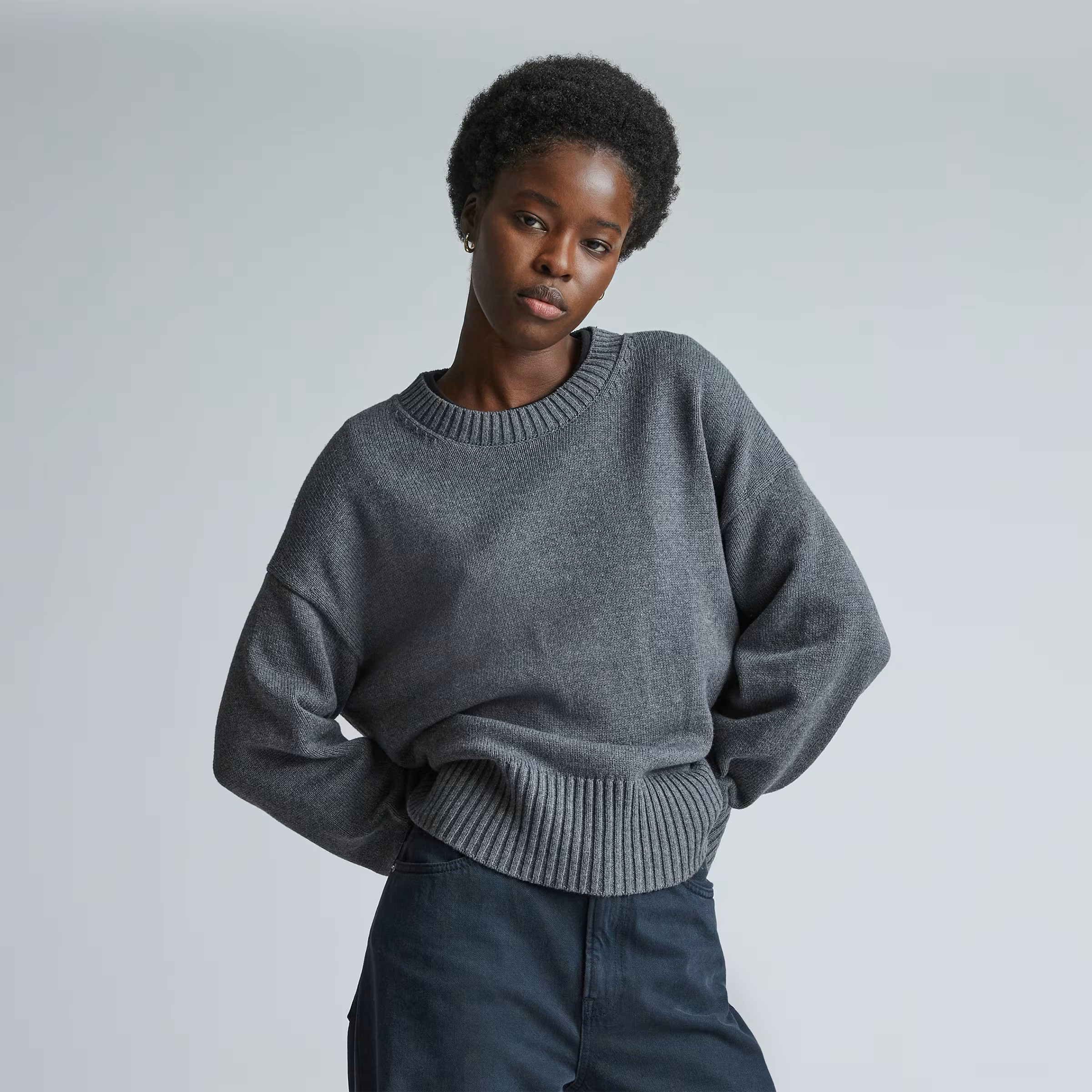 The Organic Cotton Crew Sweater | Everlane