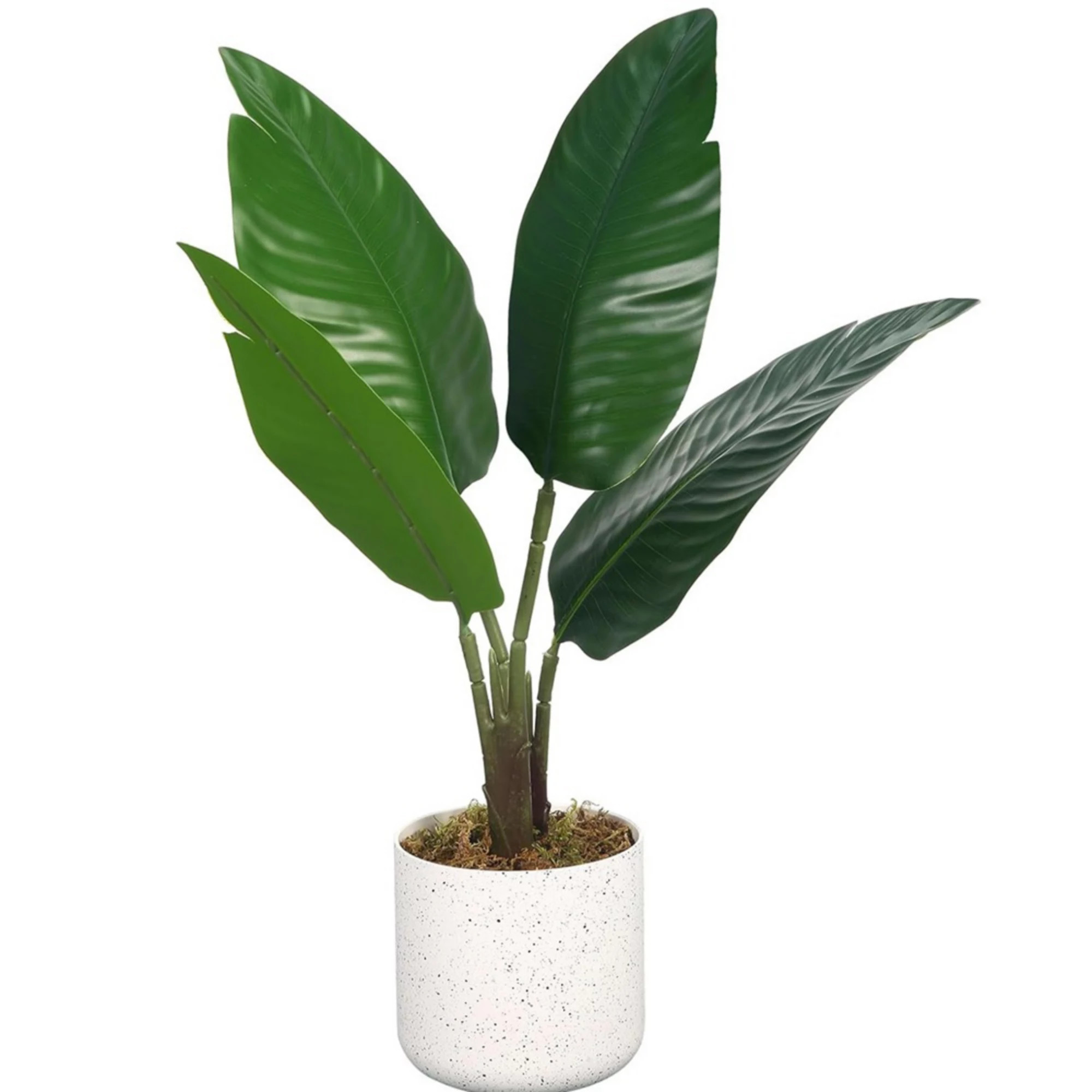Artificial Mini Traveler\u2019s Palm Plant in Pot | Kohl's