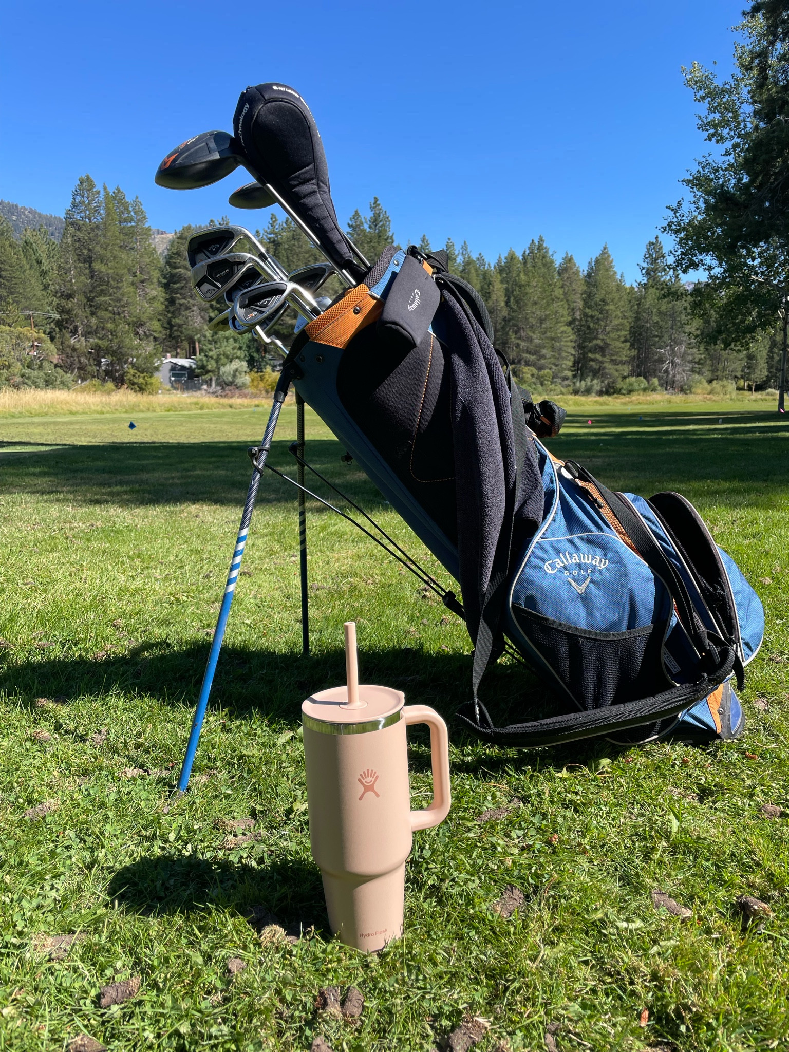 Hitting the greens and staying hydrated go hand in hand, and that's why my Hydro Flask is always by my side. 🌟 Whether it's an early morning tee time or a sunny afternoon round, I've been relying on Hydro Flask for over 10 years to keep my drinks ice-cold from the first swing to the last putt.

Golfing under the sun means hydration is key, and with Hydro Flask's new vibrant colors—Sunglow, Starlight, Seacliff, and Party in Pink—staying refreshed has never looked so good. Plus, the durable design and TempShield insulation mean my water stays cold for hours, even in the heat of the game.

Cheers to another round with Hydro Flask by my side!

#LTKFitness #LTKActive #LTKTravel