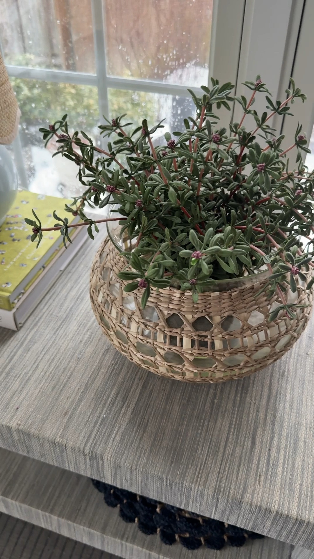 A really good and realistic-look faux plant or flower is hard to find but I’ve rounded up some of the best! I’ve seen and used these personally (in my own home or clients’ homes) and the quality can’t be beat 🙌🏻

#LTKHome #LTKSeasonal #LTKSaleAlert