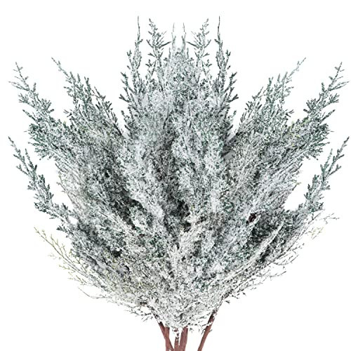 6 Pieces Frosted Artificial Cedar Pine Branches Sprigs 17" Snowy Faux Cedar Twig White Winter Greenery Stems Pine Picks Cedar Spray for Christmas Tree Craft Wreaths Garlands Holiday Season Decor (6) | Amazon (US)