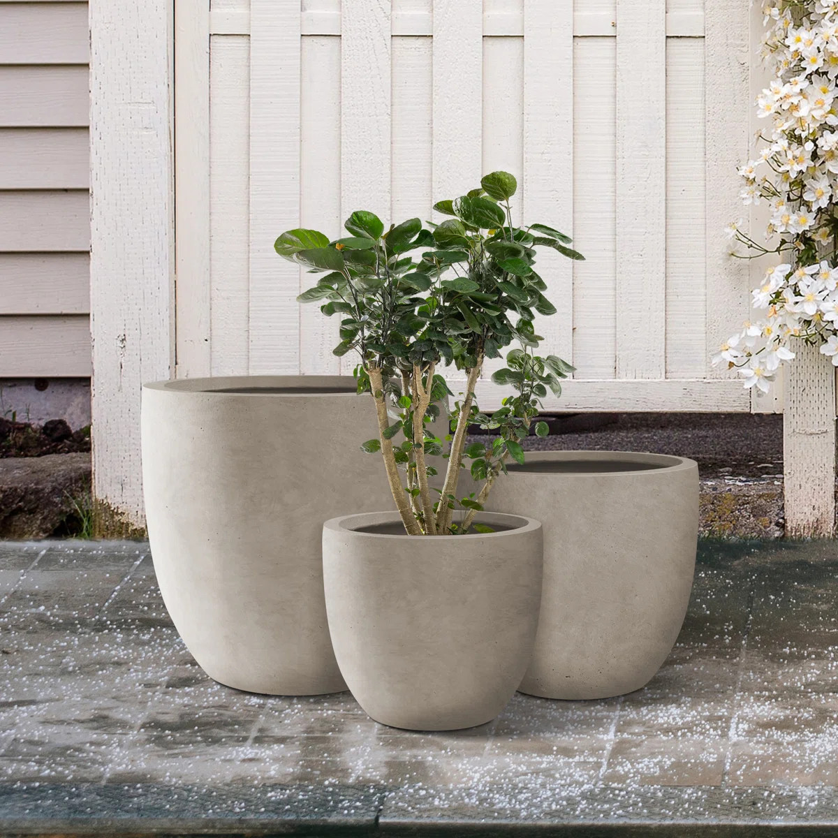 Kante 3 Piece Round Charcoal Finish Concrete Modern Tall Planters, Outdoor Indoor Decorative Plan... | Wayfair North America