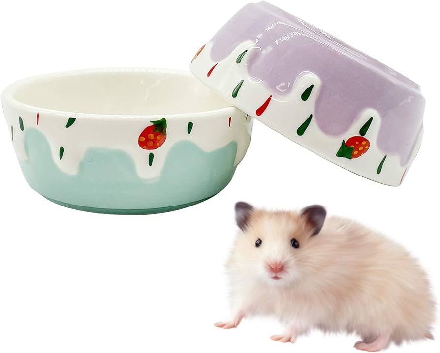 Hamster Food Bowl,Small Animals Ceramic Food Water Bowl Prevent Tipping Moving for Guinea Pig Rab... | Amazon (US)