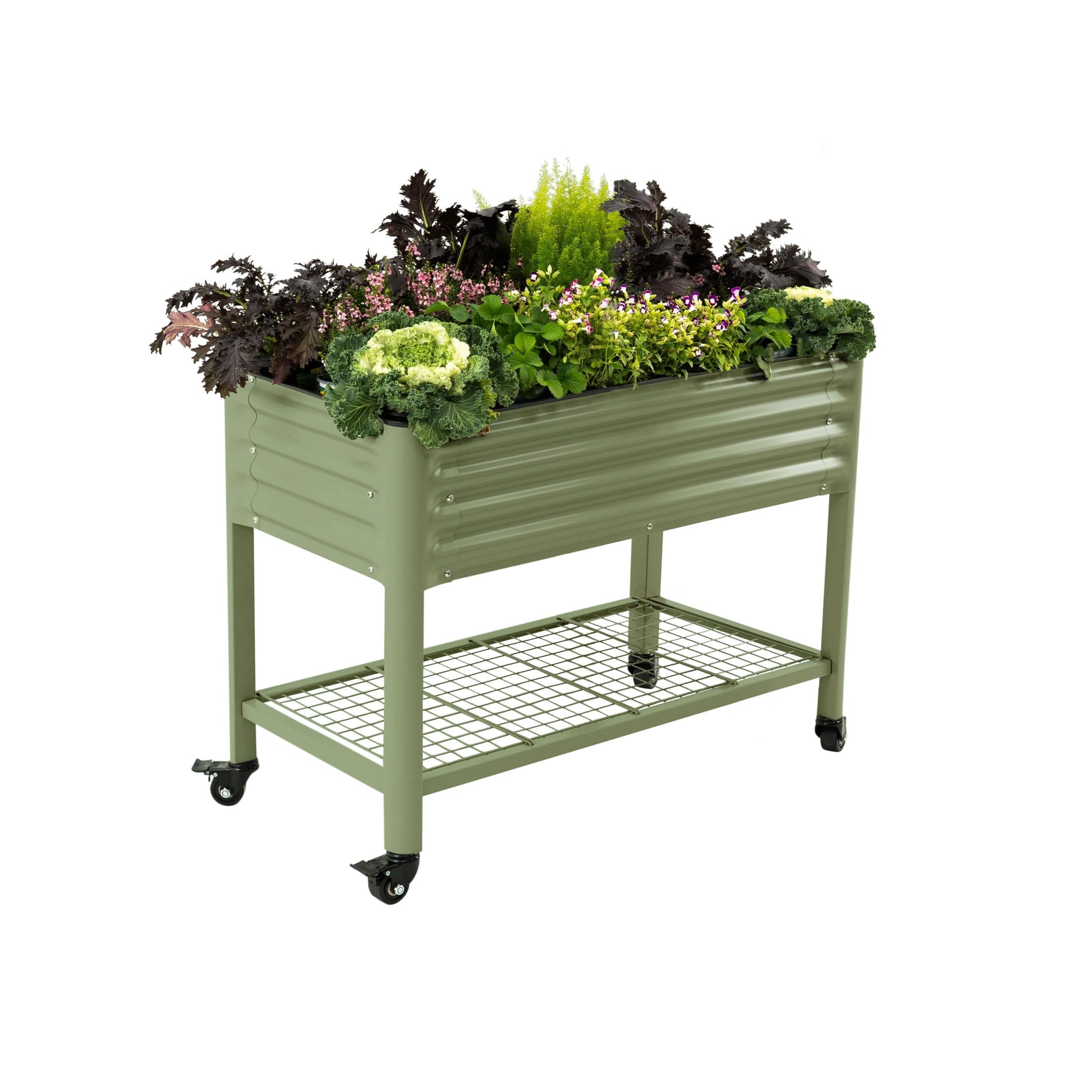 Rolling Elevated Raised Garden Bed-V Series, 2' x 4' Garden Beds with Legs & Storage Rack for Pat... | Amazon (US)