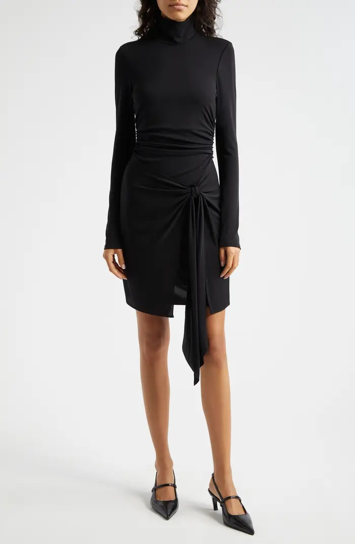 Mini Long Sleeve Johnson Dress | Nordstrom