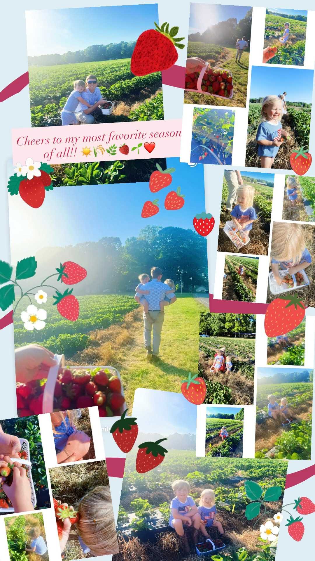 Cheers to my most favorite season of all!! ☀️🌾🌿🍓🌱❤️ 