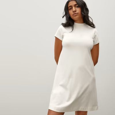 The Weekend Swing Dress | Everlane