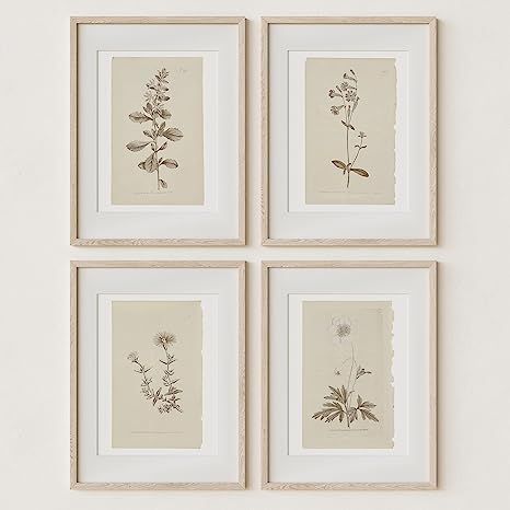 Wall Art Botanical Plant Prints | Vintage Flower Boho Minimalist Floral Artwork Decor for Bedroom... | Amazon (US)