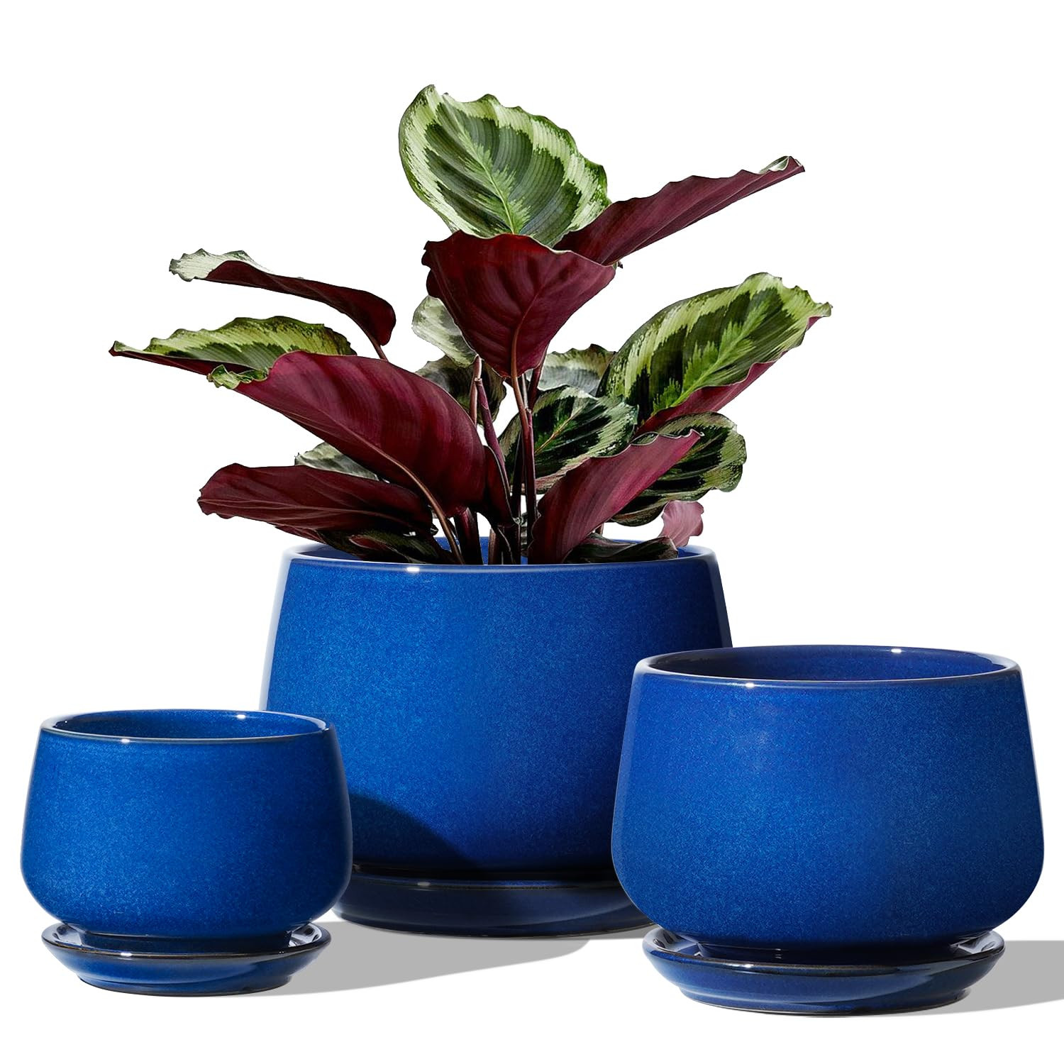 LE TAUCI Plant Pots, 4.1+5.1+6.5 inch, Set of 3, Ceramic Planters with Drainage Hole and Saucer, ... | Amazon (US)