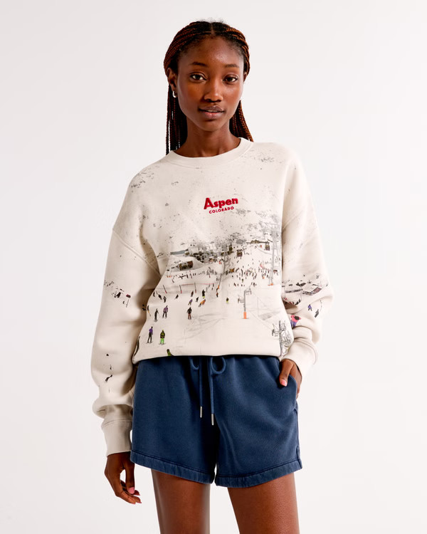 Go Team Vintage Sunday Crew | Abercrombie & Fitch (US)