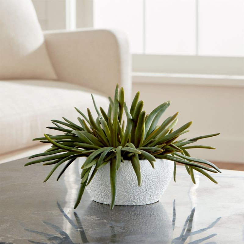 Artificial/Faux Pencil Succulent + Reviews | Crate & Barrel | Crate & Barrel