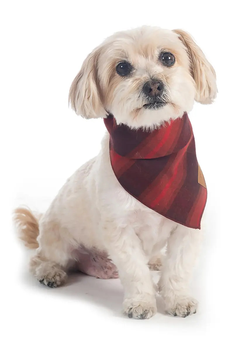 Plaid Dog Bandana | Nordstrom