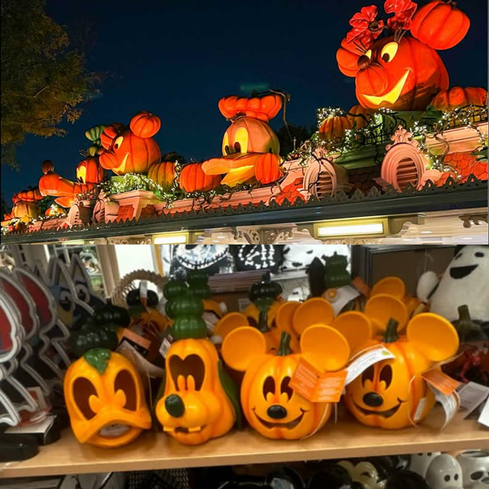 Minnie, Mickey, Donald, and goofy pumpkins 