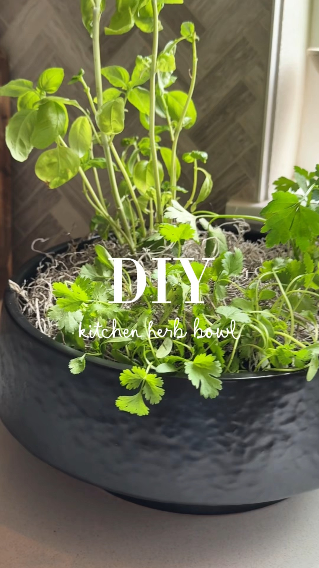Easy DIY kitchen herb bowl for cooking! 

#LTKSpringSale #LTKHome #LTKfoodie