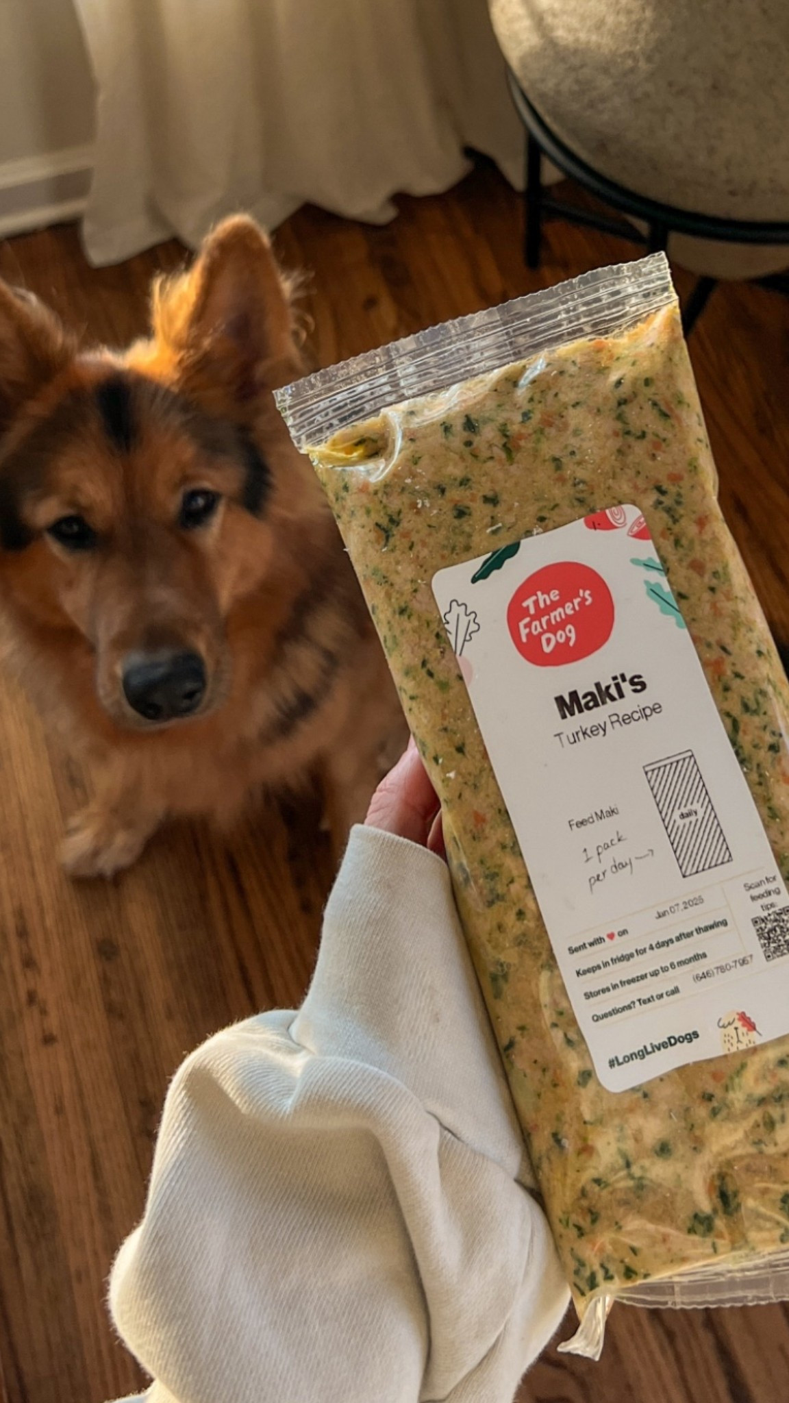 The only dog food allowed in this house 😤 @thefarmersdog #TFDPartner #thefarmersdog 