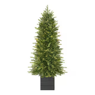 Home Decorators Collection 4 ft. Grand Duchess Twinkling Balsam Fir Potted LED Pre-Lit Artificial... | The Home Depot