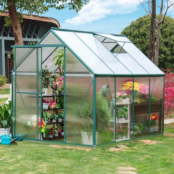 6.17' W x 8.17' D Heavy Duty Greenhouse | Wayfair North America