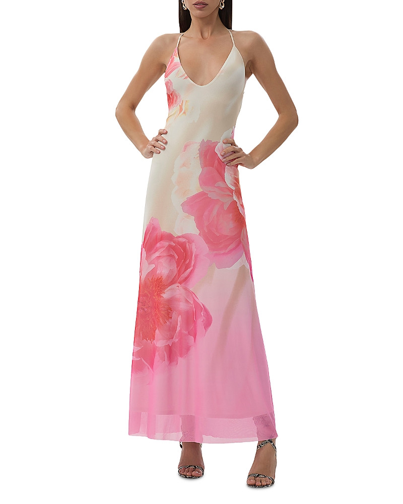 Afrm Romy Placed Floral Mesh Maxi Dress | Bloomingdale's (US)