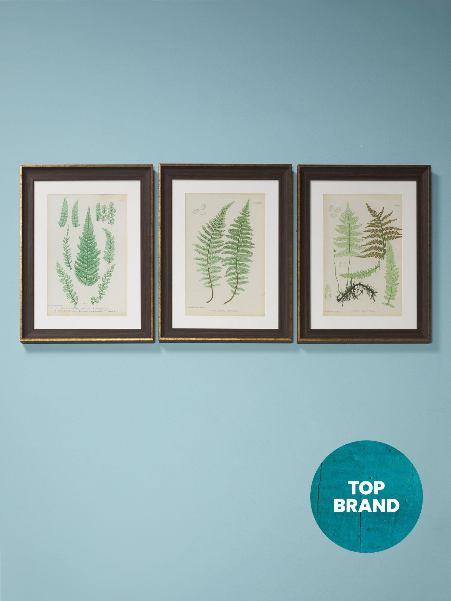 3pc 19x25 Lady Fern Matted Wall Art Collection | Living Room | HomeGoods | HomeGoods