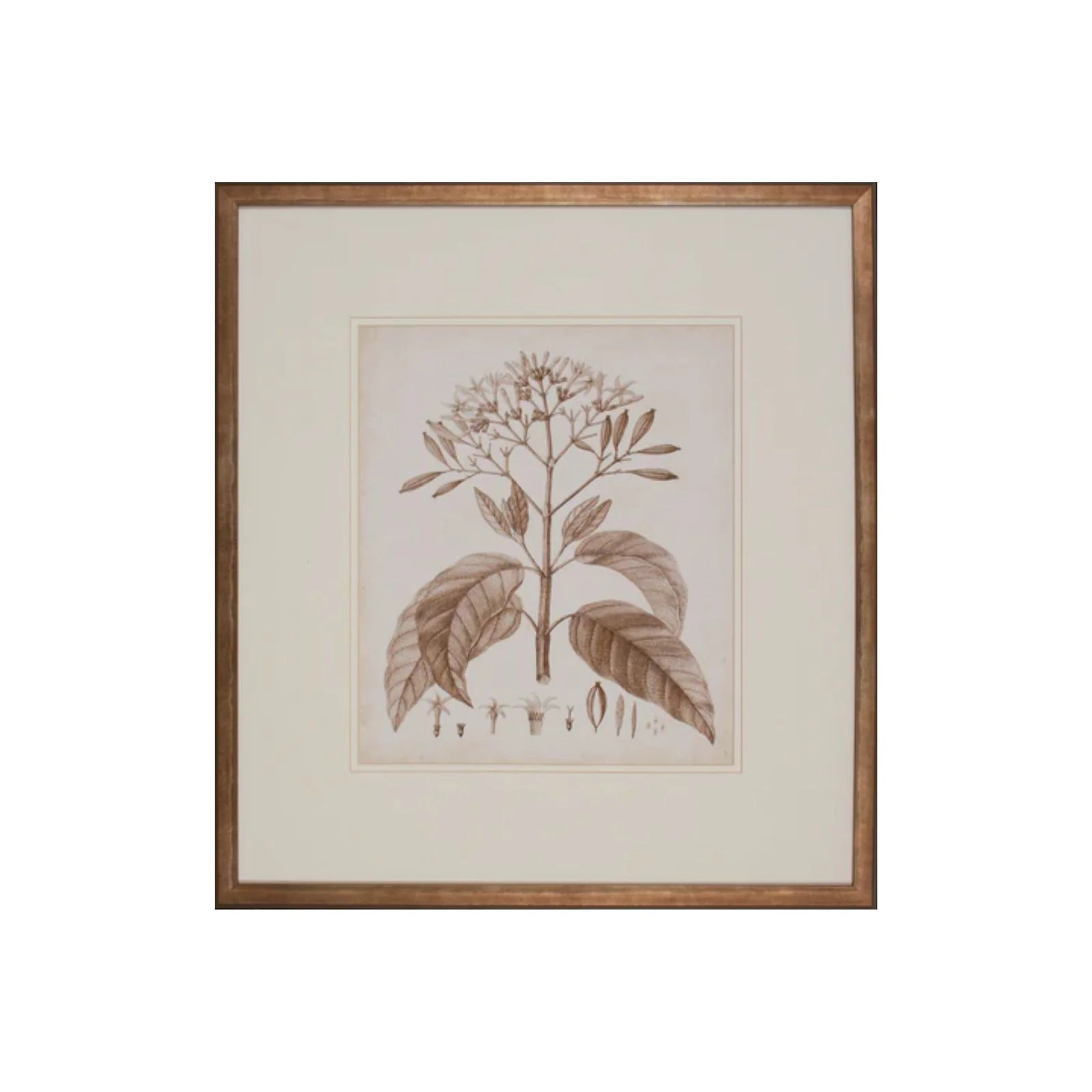 Lewiston Botanical III | Brooke and Lou