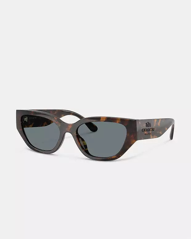 Geometric Cat Eye Sunglasses | Coach Outlet US