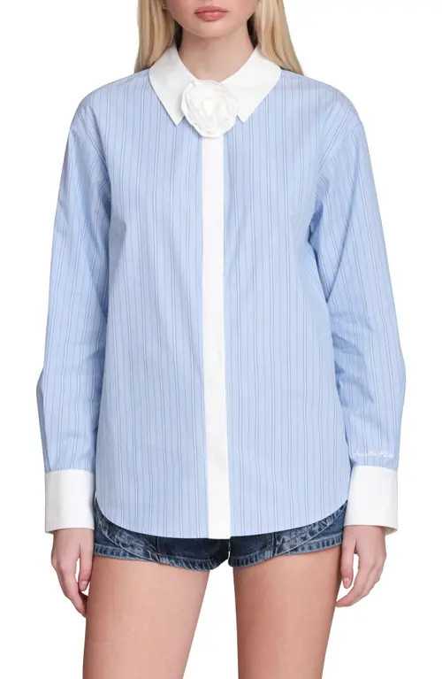 Avec Les Filles Rose Stripe Shirt in Blue-White Stripe Multi at Nordstrom, Size X-Large | Nordstrom