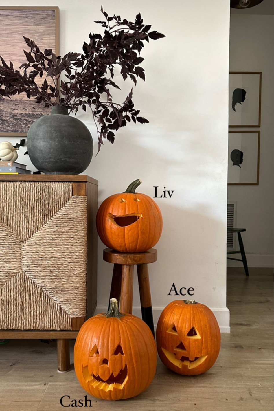 Spooky season flew by 🦇 🎃 