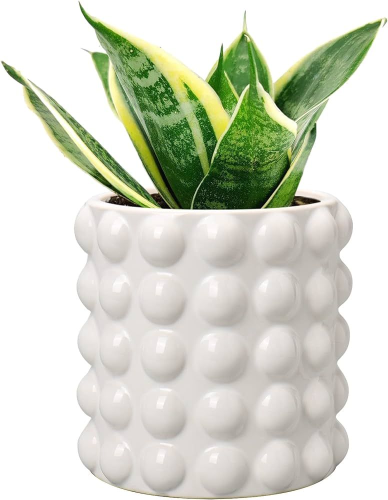 DILATATA 6 Inch Ceramic Planter Pot for Indoor Plants with Drainage Hole Bubble Flower Planter Hobna | Amazon (US)