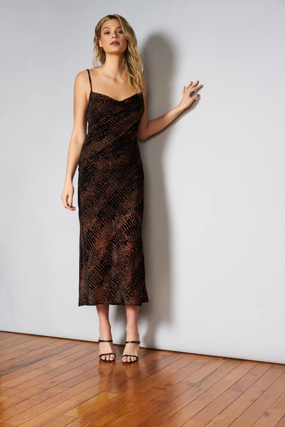 teddi  dress | Hutch