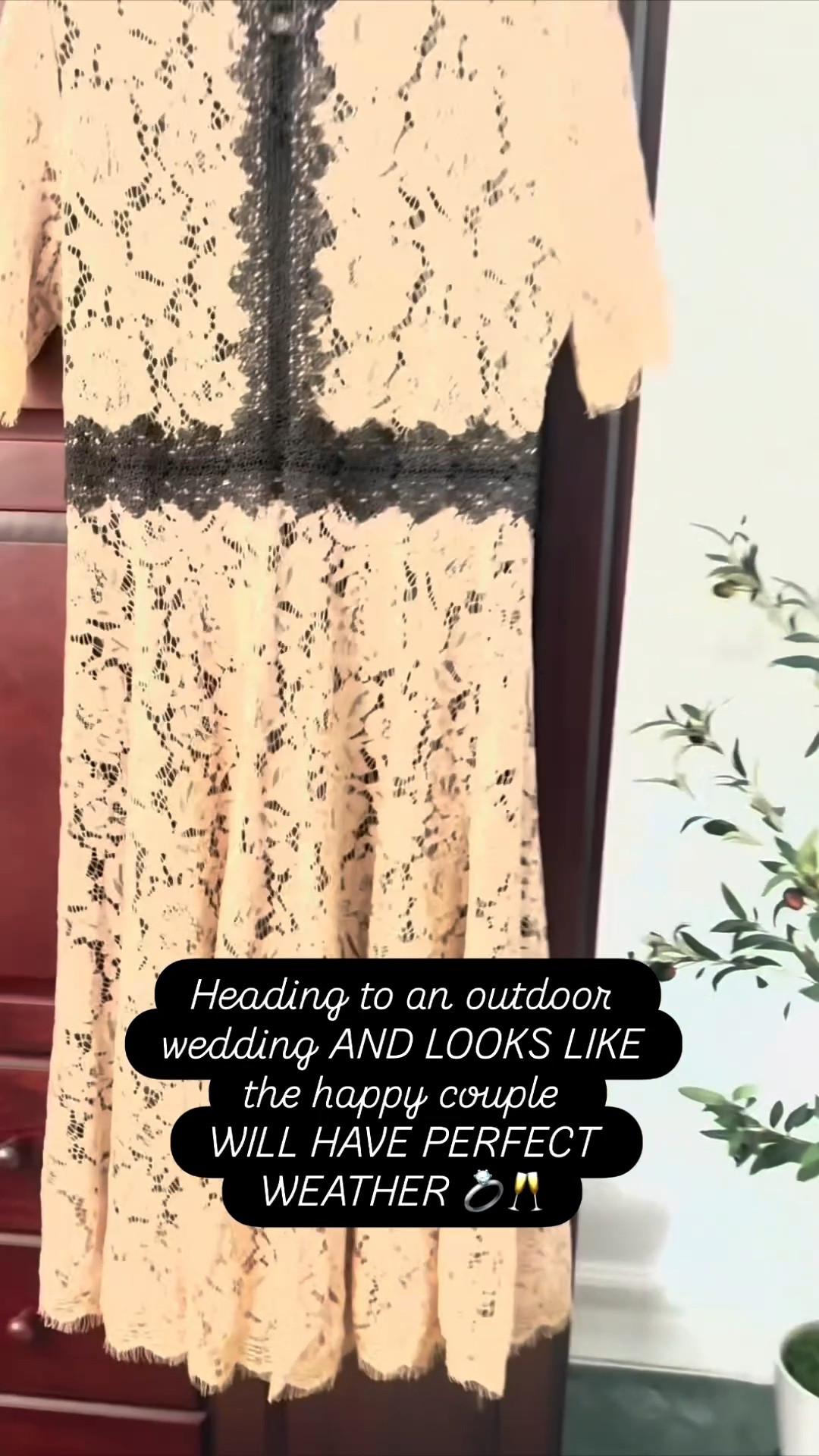 #LTKWedding #LTKOver40 #LTKMidsize