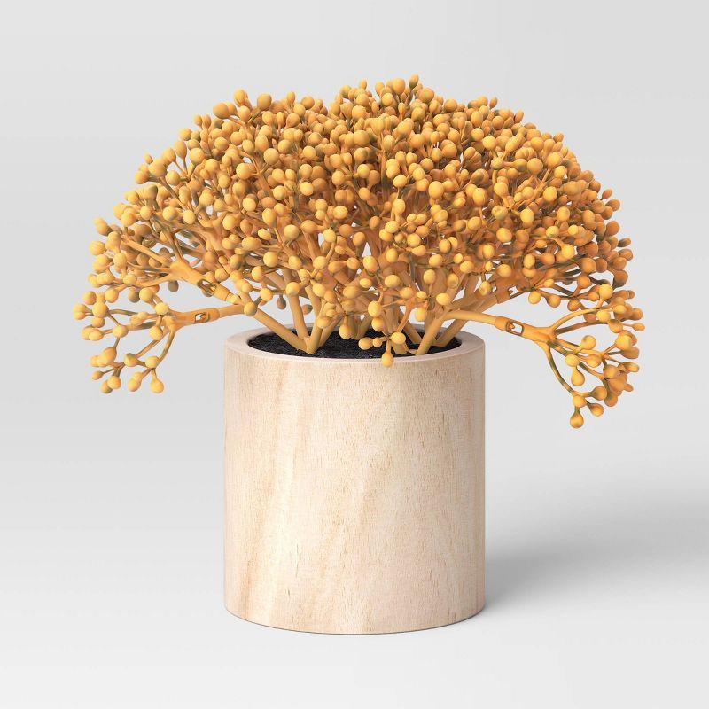 Sedum on Wood Pot Gold - Threshold&#8482; | Target