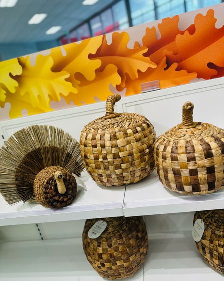 Spotted these adorable Target pumpkins for the perfect fall decor! 🎃🍁 #TargetFinds #FallDecor

#LTKU #LTKhome #LTKSeasonal