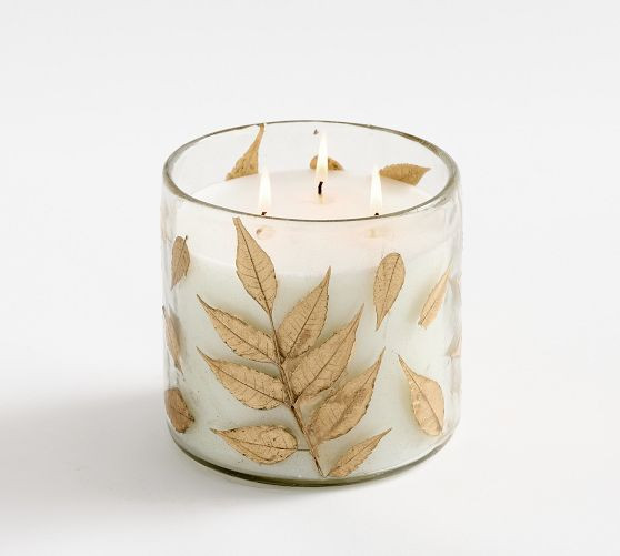 Linden Botanical Candle - Citrus Herb | Pottery Barn (US)