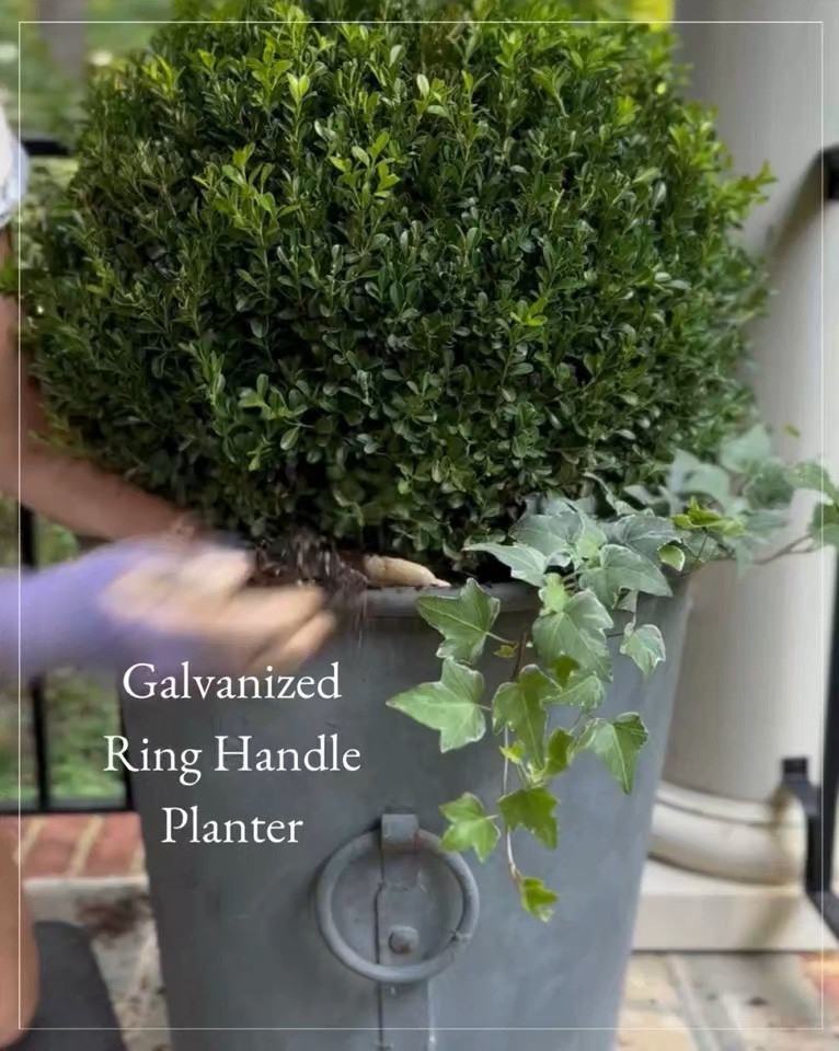 The closest thing I’ve found to this round metal planter from my personal collection! Indoor or outdoor use.

#LTKVideo #LTKSeasonal #LTKHome