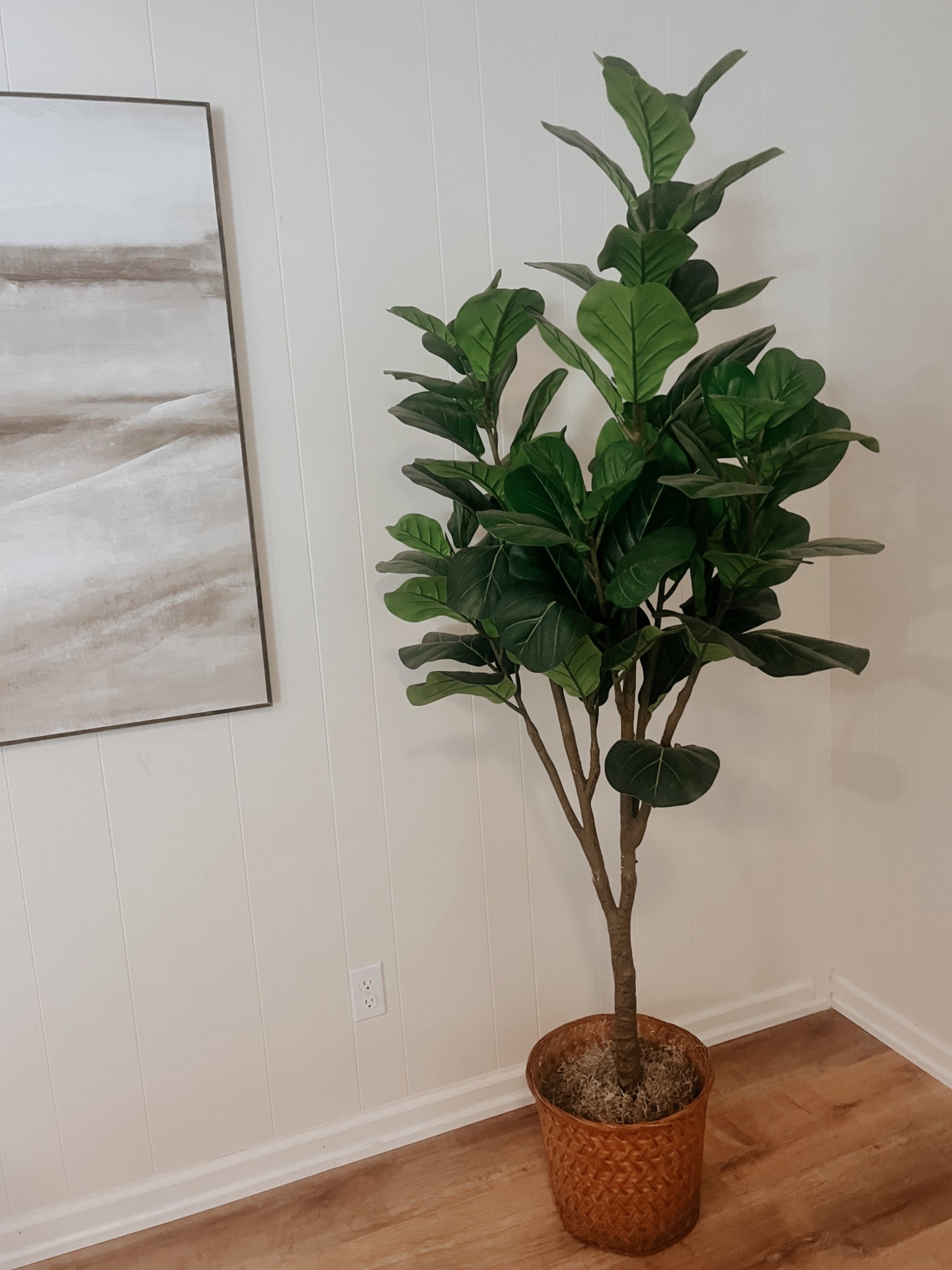 
The perfect fiddle leaf tree for your home.🍃✨Shop my home today! #ad #LowesPartner @loweshomeimprovement


#LTKSaleAlert #LTKHome #LTKFindsUnder100