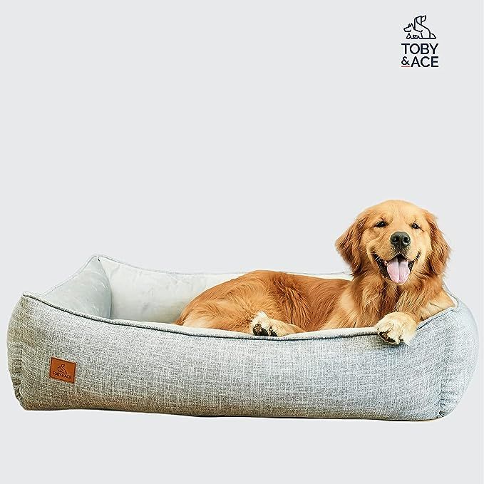 Toby & Ace Buddy DeepSleep Orthopedic Bed with Free Signature Leash - Veterinarian Approved Memor... | Amazon (US)