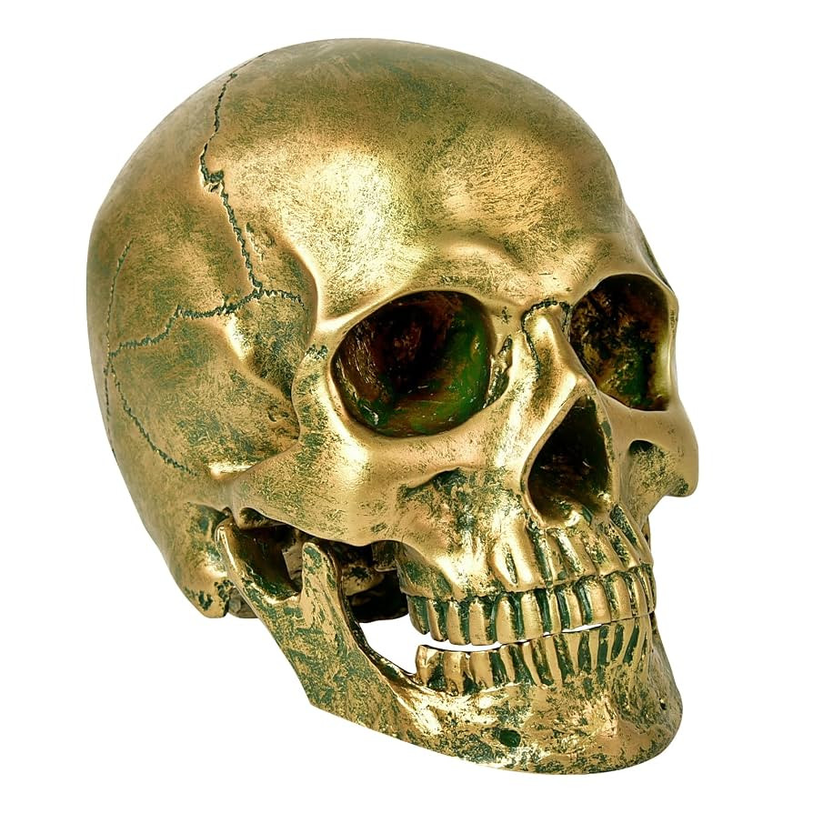 SEKKVY Resin Human Gold Skull Statues Halloween Decor Skeleton Outdoor Human Skull Model Golden H... | Amazon (US)