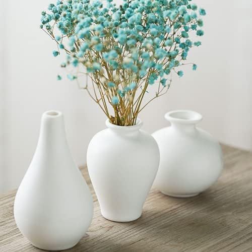 White Vase Set of 3, Bud Vase Small White Vases For Flowers | Amazon (US)