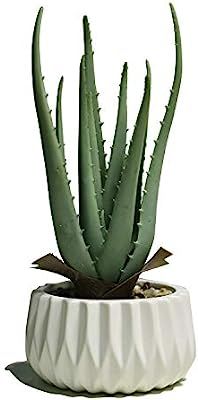 Noble House Potted Artificial Plant Decoration,Faux Natural Aloe Plant in Ceramic Pot, Faux Succu... | Amazon (US)