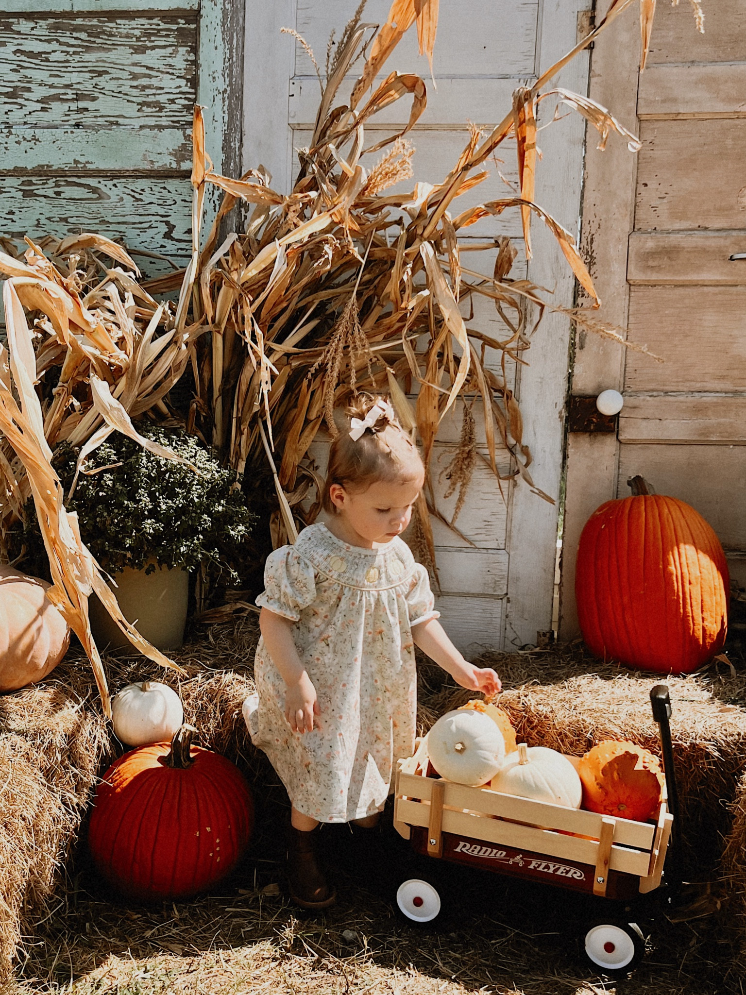Smocked fall dress 
Toddler Pumpkin dress
Toy wagon 
Etsy finds 
Amazon finds 

#LTKKids #LTKStyleTip #LTKSeasonal