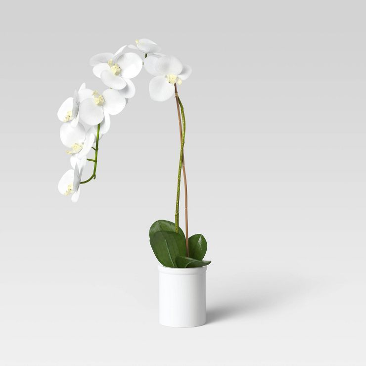 Small Potted Orchid - Threshold&#8482; | Target