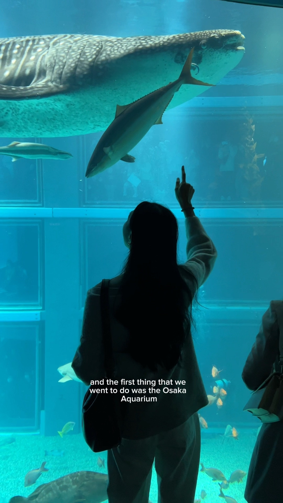 first full day in Japan vlog!


Japan, Japan outfit, Japan fashion, casual outfit, Japan trip, travel outfits 

#LTKWatchNow #LTKTravel