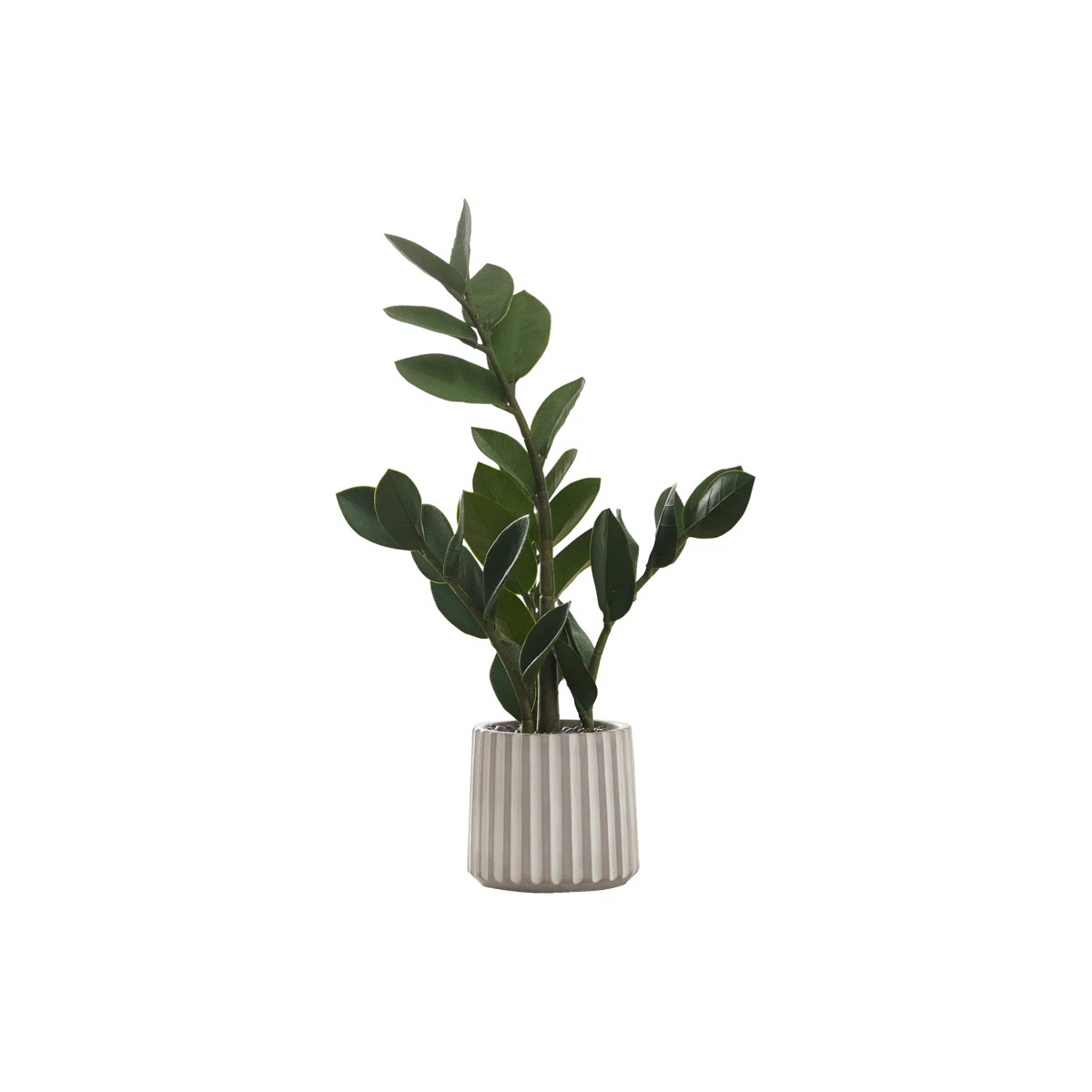 Mccormick 20'' Faux ZZ Plant in Cement Pot | Wayfair North America